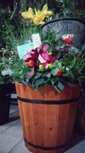 10574530_551247098314139_3558901926407504953_n