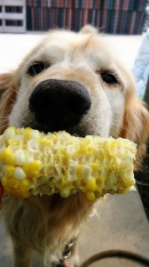 10590458_657972827614120_8329443841962067627_n