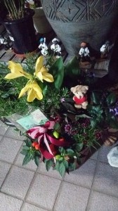 10599716_551247068314142_861255256296633884_n