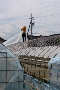 2014-08-21-14-52-41_deco