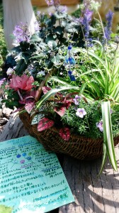 LINEcamera_share_2014-08-01-14-15-39