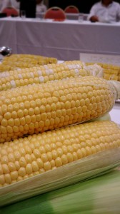 LINEcamera_share_2014-08-04-18-44-45