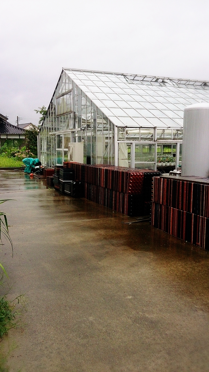 台風来るのかっ！？