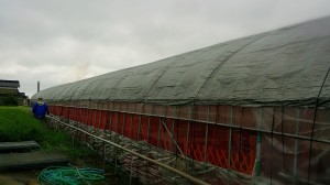 LINEcamera_share_2014-08-09-19-11-45