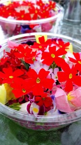 LINEcamera_share_2014-08-09-19-12-12