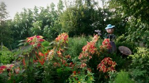 LINEcamera_share_2014-08-12-06-18-08