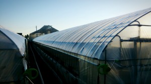 LINEcamera_share_2014-08-22-06-14-39