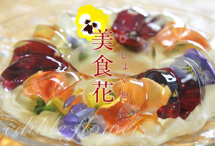 美食花が南砺ＳＧに登場！！