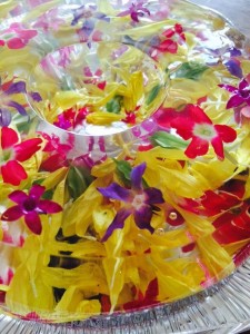 10363850_674910892586980_7630836860390160378_n