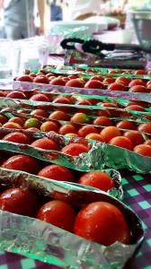 10616252_672367176174685_2048345064439034643_n