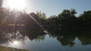 10678685_678989878845748_1683621297864406056_n