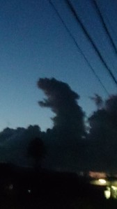 997065_678772508867485_5431301083792548569_n