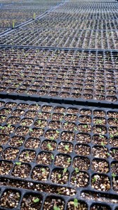 LINEcamera_share_2014-09-18-06-37-20