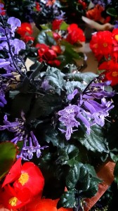 LINEcamera_share_2014-09-19-06-07-29