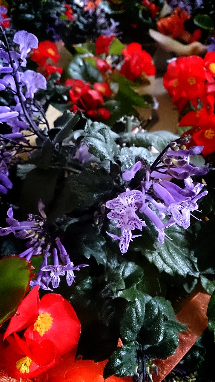 フラワーンダフルバスケット