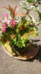 LINEcamera_share_2014-09-29-06-27-07