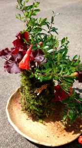 LINEcamera_share_2014-09-29-06-27-43