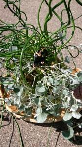 LINEcamera_share_2014-09-29-06-28-43