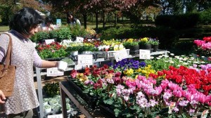 1016330_695479020530167_3894821811591822442_n