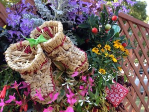 10402894_10203809554654056_1845614339187148694_n