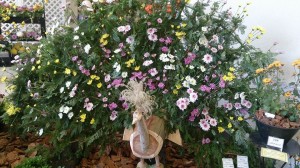 10440661_695479000530169_8249519475902936170_n