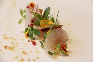 10617315_484629585012288_1531400638_n