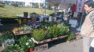 10653649_692510324160370_8315244657243571904_n