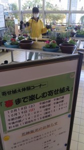 10671277_695501760527893_6131042931108415348_n