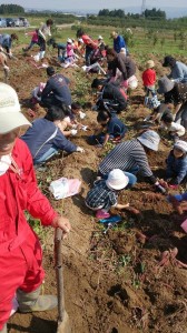 10704120_692027117542024_8371537854128063240_n