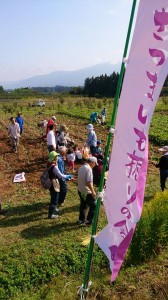 1555308_692027084208694_4366890360731915751_n