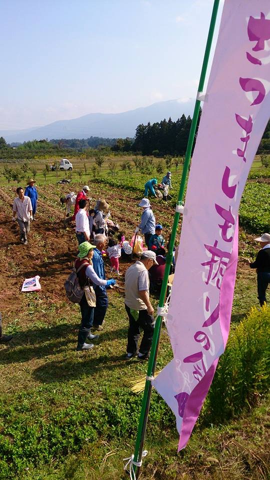 さつまいもを掘ろう会大盛況☆