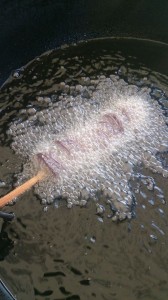 1623491_692510390827030_7230125736341293483_n