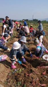 1656026_692027094208693_5444319113269662458_n