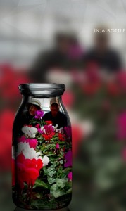 2014-10-04-19-06-31_deco