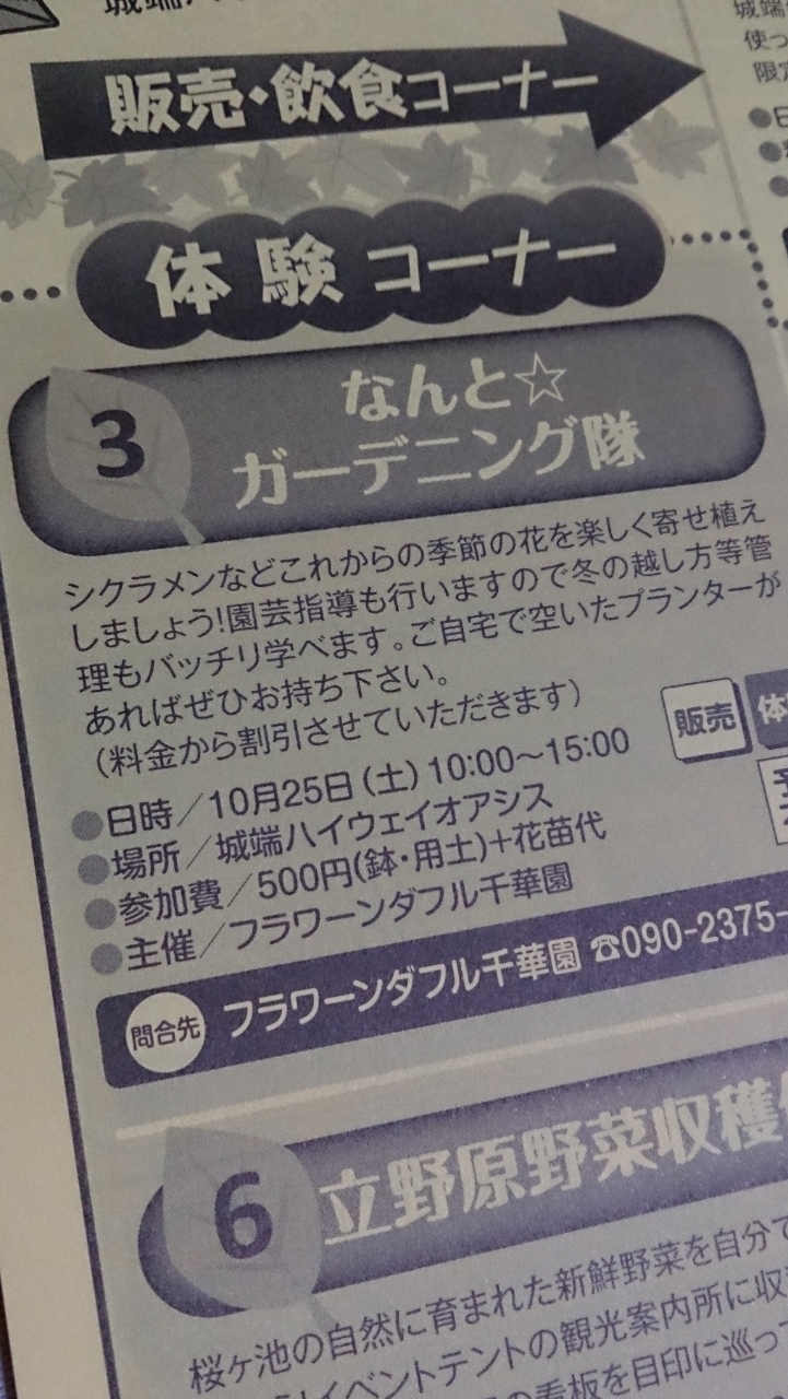 今週末は「なんと彩菜まつり」！！