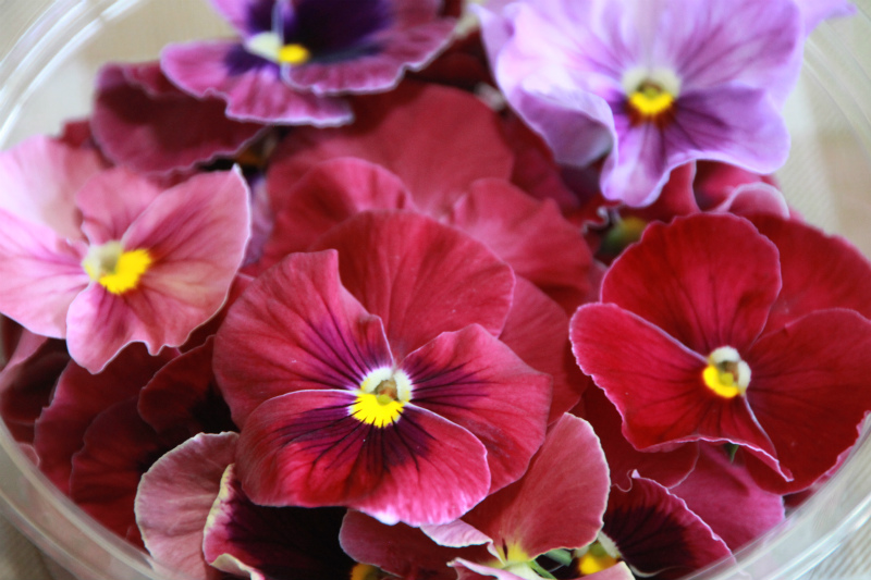 美食花が美しい☆