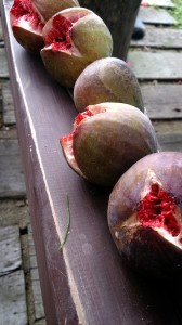 LINEcamera_share_2014-10-04-19-37-22