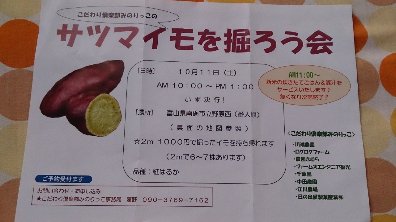 今年も開催！！さつまいもを掘ろう会