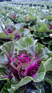 LINEcamera_share_2014-10-22-19-30-33