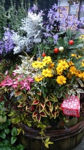 LINEcamera_share_2014-10-27-21-03-41