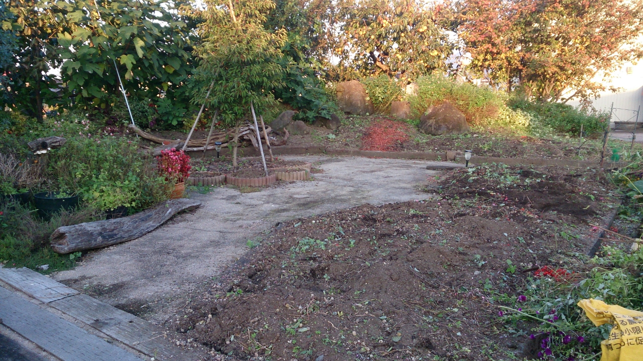 秋冬コレクション「なんと☆フラワールド」