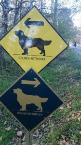 .facebook_1413802605421