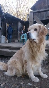 .facebook_1413802666744