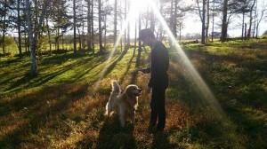 .facebook_1413802993992