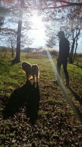 .facebook_1413803239633