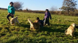 .facebook_1413803287157