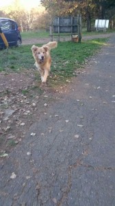 .facebook_1413804096690