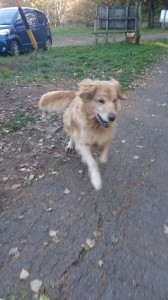 .facebook_1413805451283