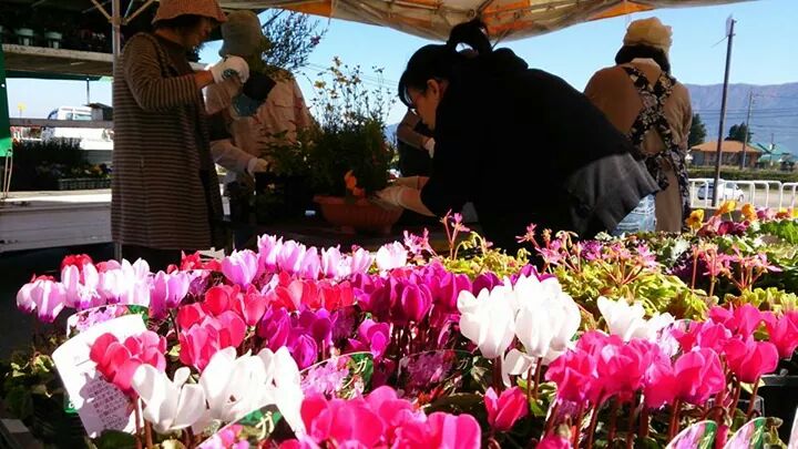 なんと彩菜まつり大盛況☆