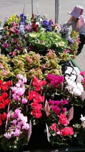 .facebook_1414239576876